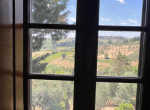 PANORAMIC VIEW from window
