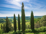 Certaldo charming town house panoramic-28 at 3.46.40 PM