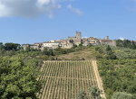 Castellina Chianti PANORAMA and vineyards