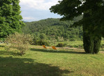 Castellina Garden view