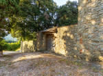 2020_07_24_Cellai-35